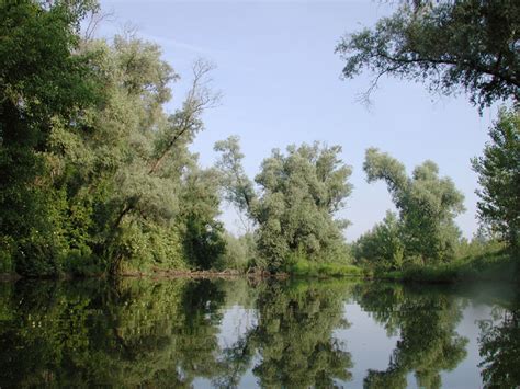 Parco Fluviale Del Po Tratto Torinese L Area Protetta Natura E Aree