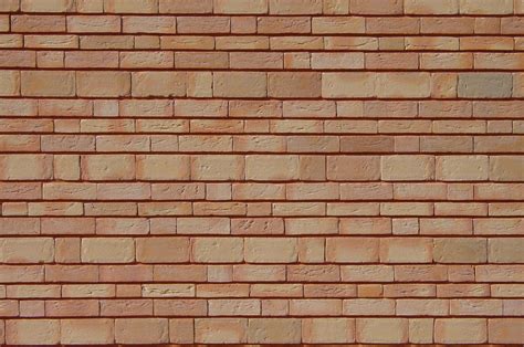 the wall1 Free Photo Download | FreeImages 