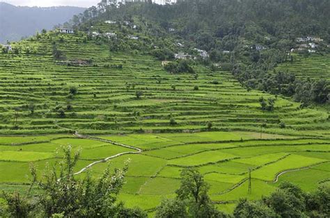 A Complete Tour Guide To Nainital Hill Station