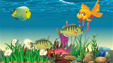 Tranquil Waters Calming Fish Lullabies for a Peaceful Slumber | Deep Sleep Soothing Fish ...