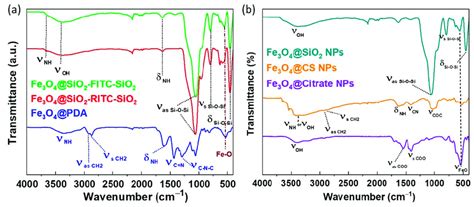 Ftir Spectra Of A Single Core Mnps Fe O Pda Blue Pattern Fe