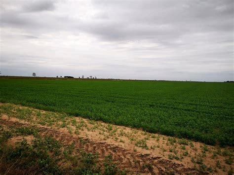 Has Agricolas Departamento Banda Santiago Del Estero Agroads