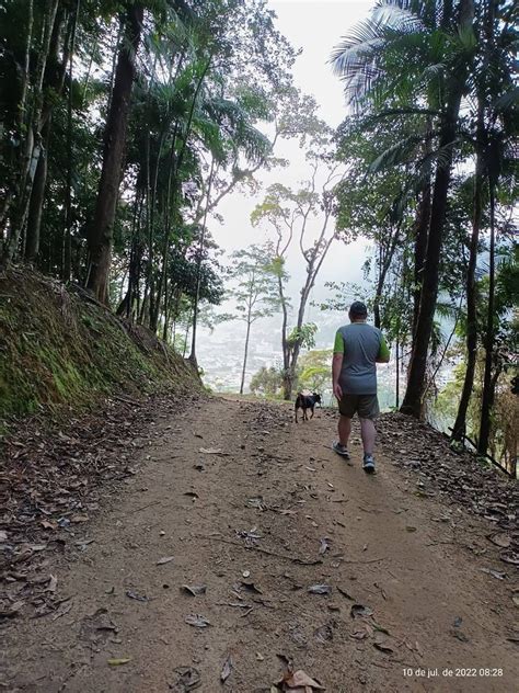 Jaragu Do Sul Sc Brasil Parque Malwee Elemer Kroeger Flickr