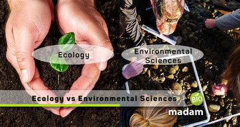 Difference Between Ecology And Environmental Sciences Biomadam