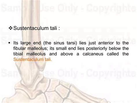 Ankle and foot complex | PPTX