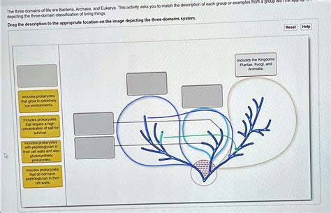 Solved The Three Domains Of Life Are Bacteria Archaea And Eukarya