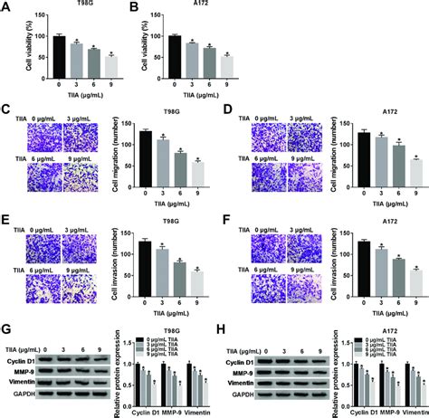 TIIA suppressed glioma cell proliferation, migration and invasion in ... 
