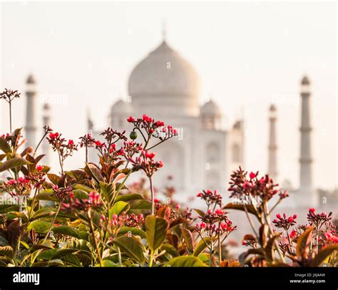 The Taj Mahal Seen From The North Across The Yamuna River In The