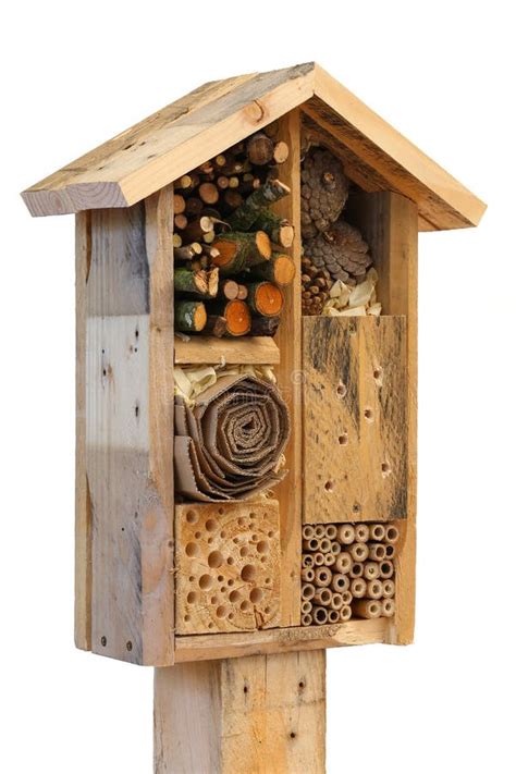 Wooden Insect House Garden Decorative Bug Hotel And Ladybird And Stock