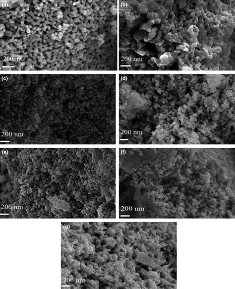 Scanning electron microscope images of the morphologies of (scale bar ...