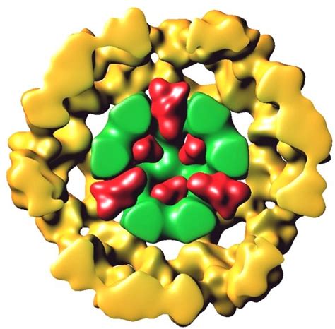 Hackert lab - projects 