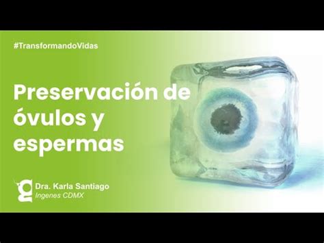 Qu Es La Preservaci N De La Fertilidad Ingenes Youtube