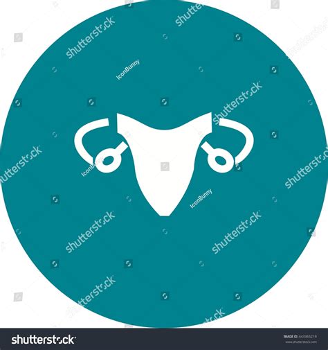 Female Reproductive System Stock Vector Royalty Free 443365219