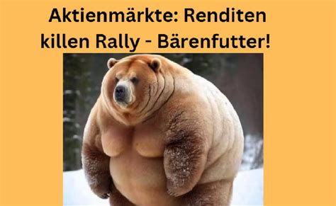 Aktienmärkte Renditen killen Rally Bärenfutter