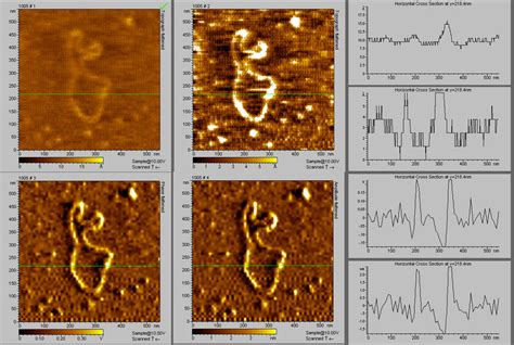 How to obtain better images of DNA using AFM? 