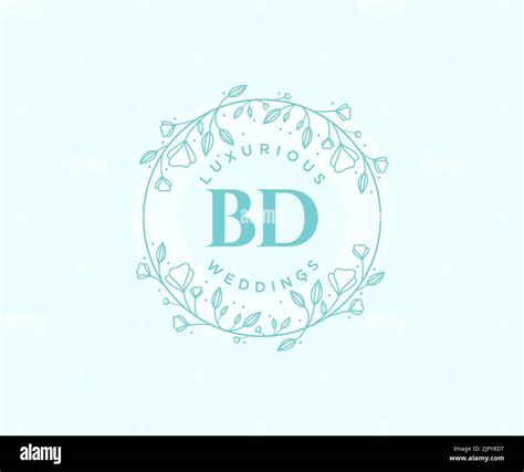 Bd Initials Letter Wedding Monogram Logos Template Hand Drawn Modern