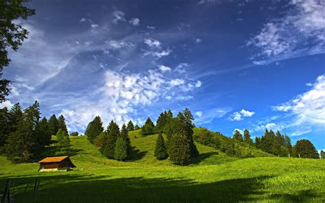 Sunny day in the mountains wallpaper - Nature wallpapers - #44584