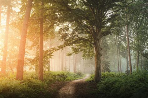 George Edward Seymour, Jr. - Hughes Funeral Home