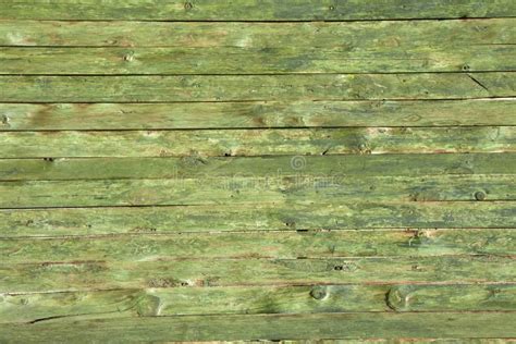 Green wood texture stock image. Image of color, outdoors - 188984843