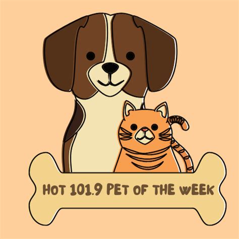 Hot 101 9 Cville S 1 Hit Music Station WHTE FM 2