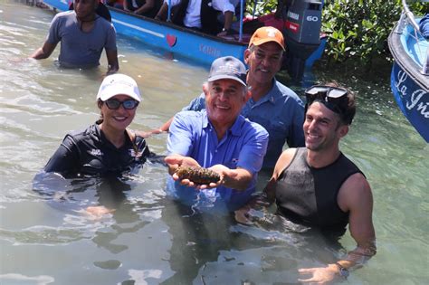 Panama Con La Primera Cosecha De Pepino De Mar Acuicultura Arap Hub