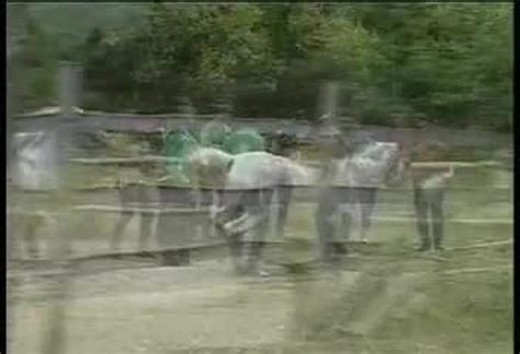 Gypsy Porn Videos Gay XXX XHamster