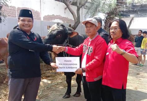 Pdip Surabaya Kurban Sapi Adi Sutarwijono Idul Adha Momen Perkuat