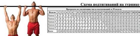 Подтягивание на турнике программа тренировок для начинающих с нуля: Как ...