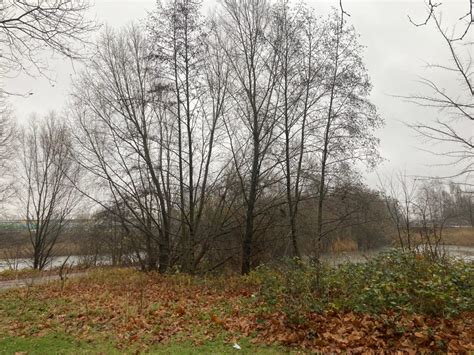 An Erotic Prison Sex Workers Oppose Plans For Mega Brothel Dutchnews Nl