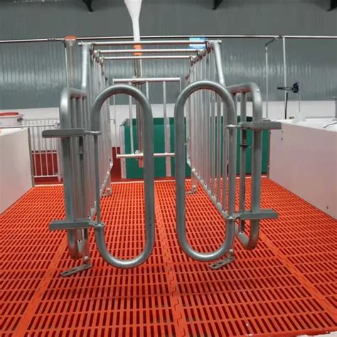 High Quality Pig Farming Equipment Gestation Pen Stall Pig Cage For