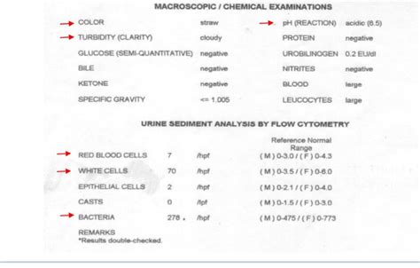 Solved Macroscopic I Chemical Examinations Color Straw Ph Chegg