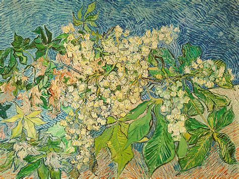 VAN GOGH – Mifoto Art