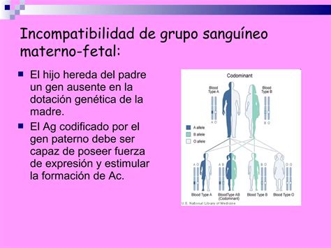 Enfermedad Hemolítica Del Feto Y El Recién Nacido Ppt