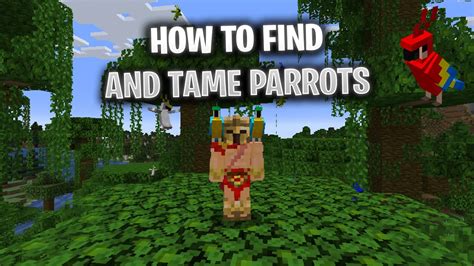 Minecraft How To Find And Tame Parrots