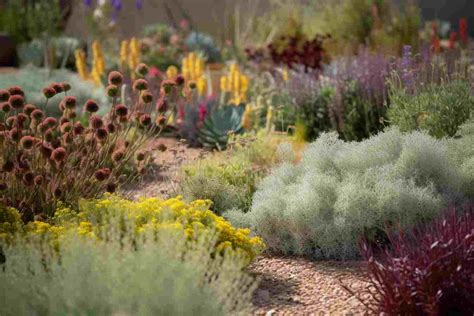 10 Beautiful Oklahoma Flower Bed Ideas To Enhance Your Landscape Foliage Friend Learn About