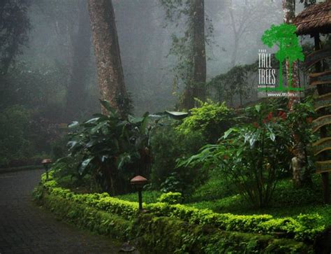 The Tall Trees,Munnar:Photos,Reviews,Deals