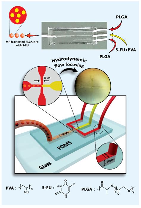 Microfluidic Assisted Preparation Of 5 Fluorouracil Loaded Plga