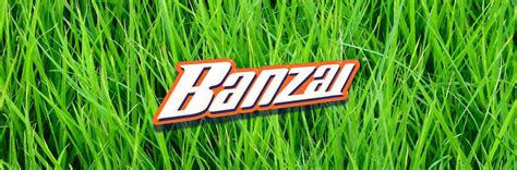 banzai banzai backyard fun