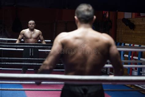 Kickboxer Profesional Muscular Foto De Archivo Imagen De Gimnasio