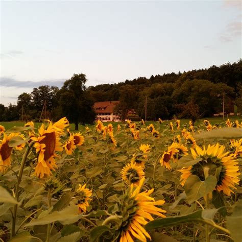 Gay Voyageur Guide Voyage Gay Lesbien Pour Un Gay S Jour