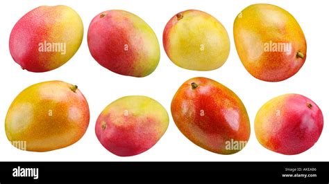 The Mangoes Hi Res Stock Photography And Images Alamy