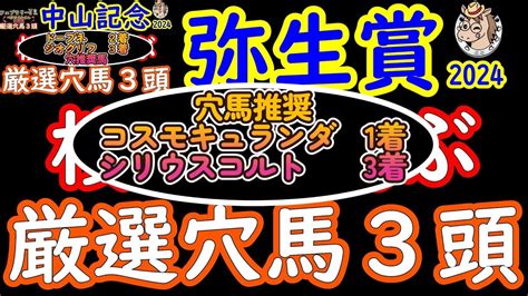 弥生賞2024桜花が選ぶ厳選穴馬3頭！今回は昨日の人気馬不安材料で漏れたダノンエアズロックを含めて4頭を検証！トライアルレースはスローな流れに