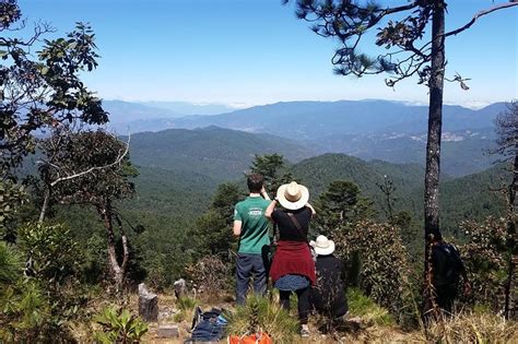 Sierra Ju Rez Ixtl N Guelatao Capulalpam Oaxaca City