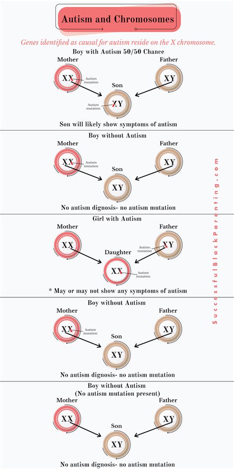 Autism Chromosome Chart | Successful Black Parenting Magazine