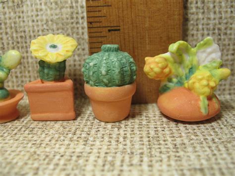 CACTUS Cacti Southwest Desert Plants Fairy Garden French - Etsy