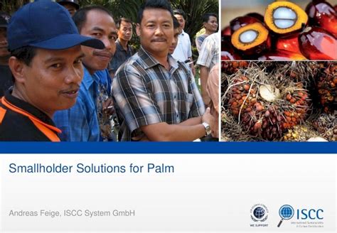 Pdf Smallholder Solutions For Palm Iscc System • Without