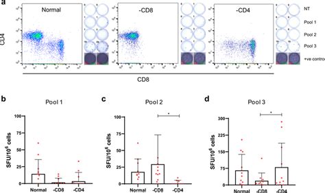 Evd Survivor T Cell Memory Response To Ebov Glycoprotein Gp1 4 Ifnγ