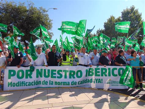 Ganaderos Se Concentran En La Feria De Zafra Para Instar Al Gobierno