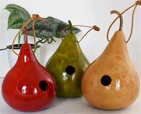 Best Gourd Birdhouse Ideas To Attract And Thrill Your Feathered