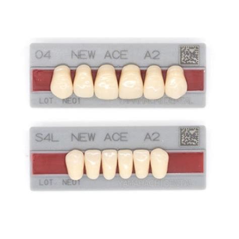 Buy New Ace Teeth Combination Set Set Of 4 A2 Shade Online At Best